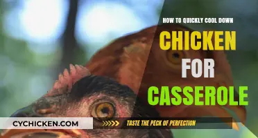 Fast Chicken Cooling Tips for Perfect Casserole Preparation