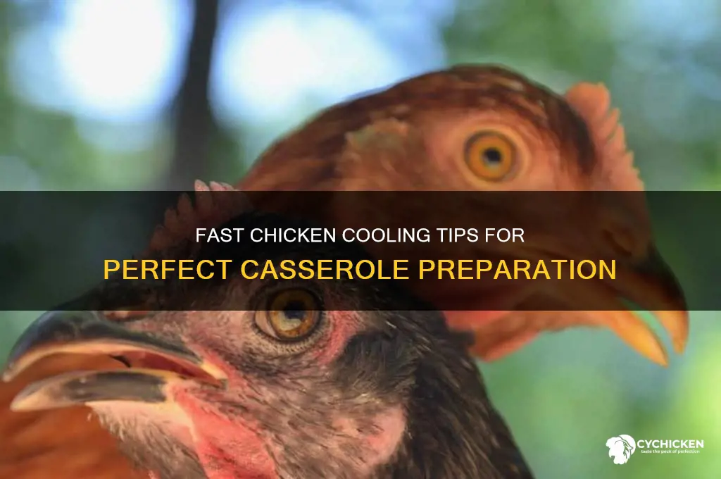 how to quickly cool down chicken for casserole