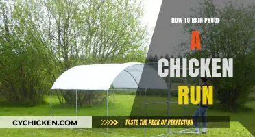 Rain-Proof Your Chicken Run: Easy DIY Tips for a Dry Coop