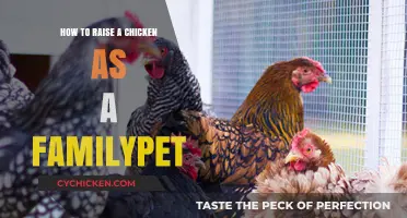 Raising Chickens as Family Pets: A Beginner's Guide to Happy Flocks