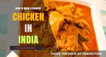 Raising Country Chickens in India: A Beginner's Guide to Success
