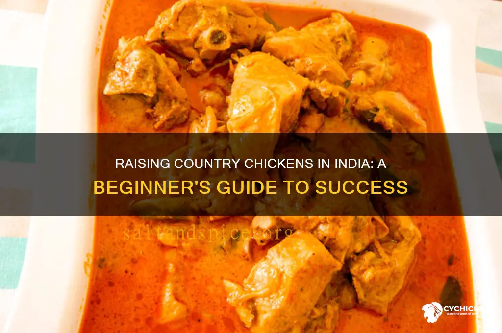 how to raise a country chicken in india