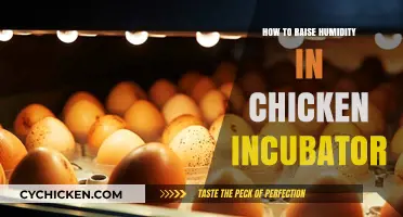 Boosting Incubator Humidity: Essential Tips for Healthy Chick Hatching
