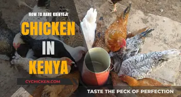 Mastering Kienyeji Chicken Rearing: A Kenyan Farmer's Comprehensive Guide