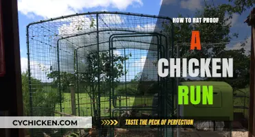 Secure Your Flock: Effective Ways to Rat-Proof Your Chicken Run