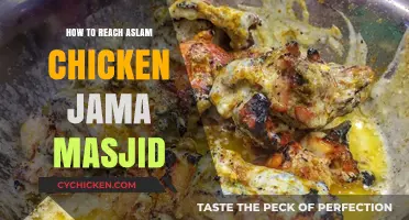 Discover Aslam Chicken Jama Masjid: Easy Directions to Delhi's Iconic Eatery