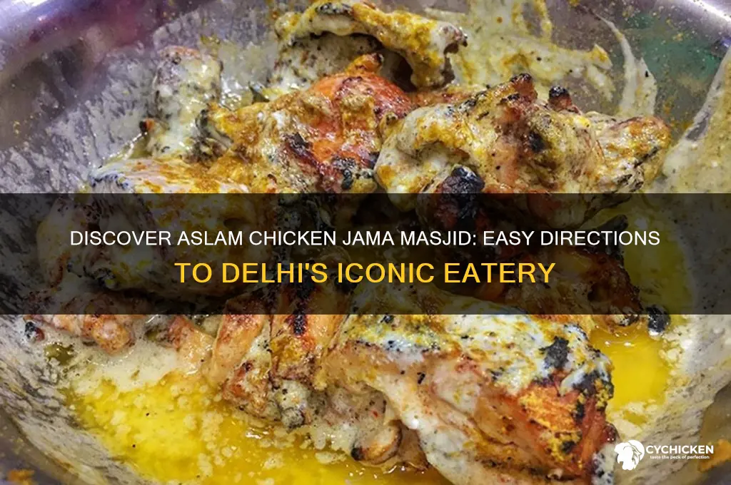 how to reach aslam chicken jama masjid