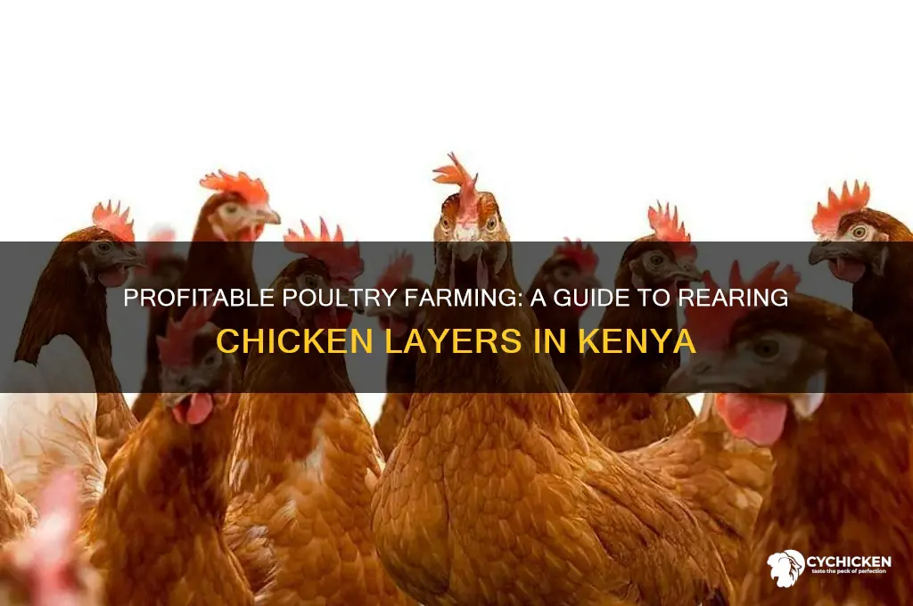 how to rear chicken layers in kenya