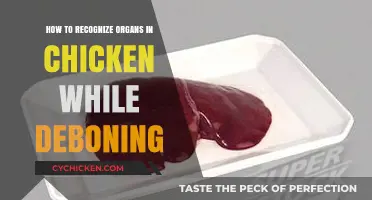 Master Chicken Deboning: Recognizing Organs for Perfect Poultry Preparation