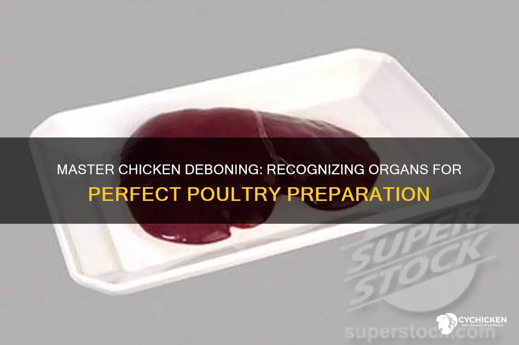how to recognize organs in chicken while deboning