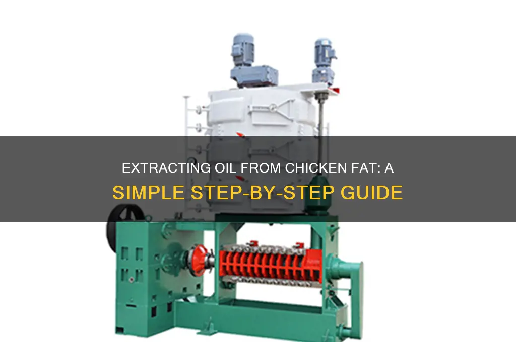 how to recver oil from chicken fat