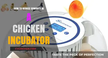 Effective Tips to Control Humidity in Your Chicken Incubator