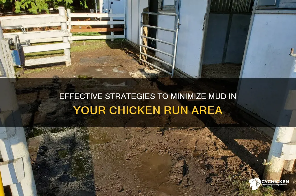how to reduce mud in chicken run