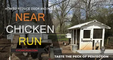Keep Flies and Odor Away from Chicken Coops