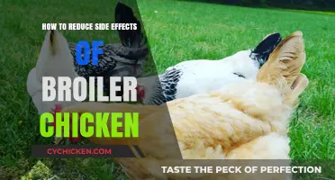 Minimizing Broiler Chicken Side Effects: Healthy Practices for Better Poultry