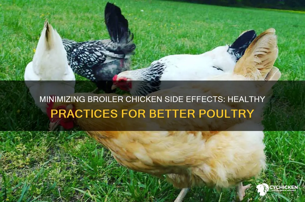 how to reduce side effects of broiler chicken