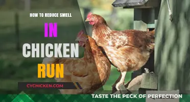 Effective Tips to Eliminate Odors in Your Chicken Coop and Run