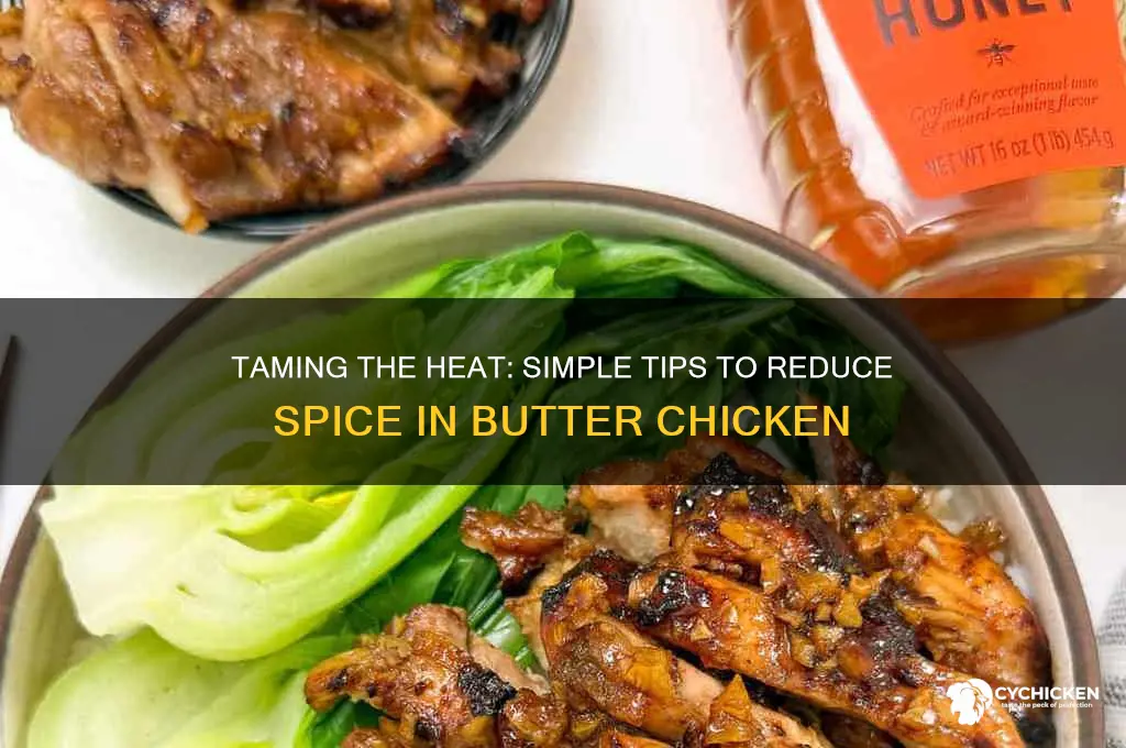 how to reduce spice in butter chicken