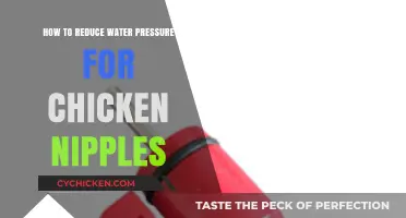 Lowering Water Pressure for Chicken Nipples: Simple DIY Solutions