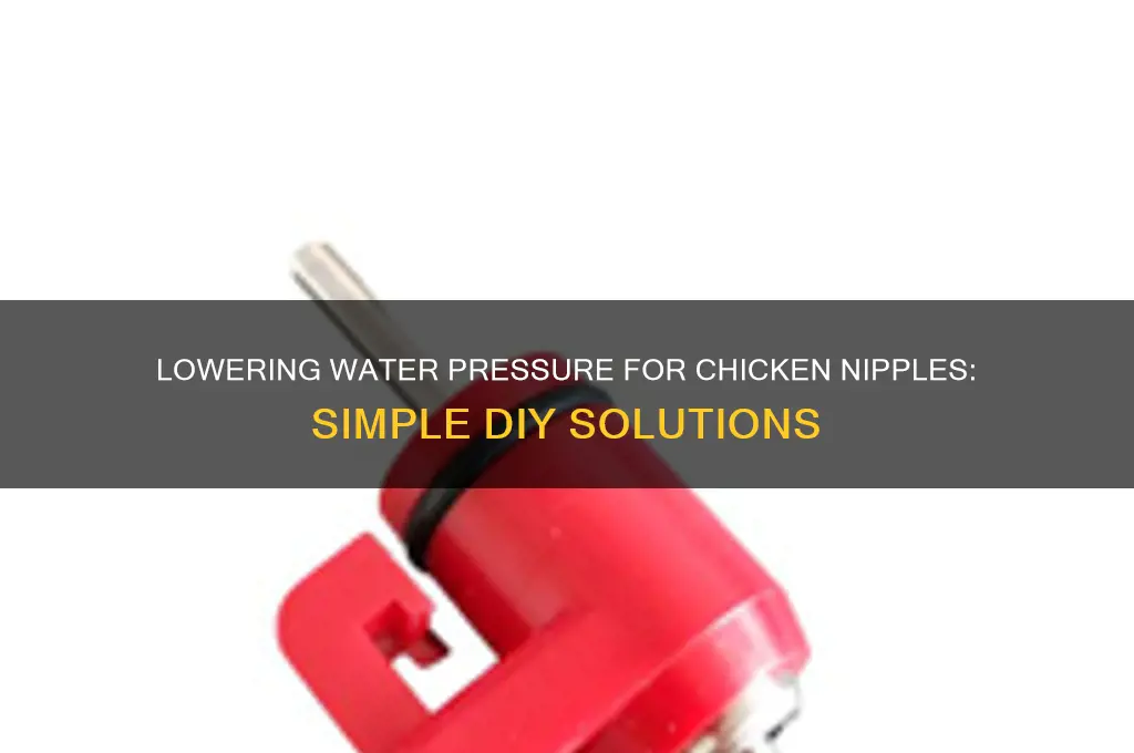 how to reduce water pressure for chicken nipples