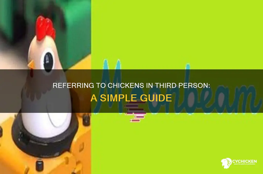 how to refer chicken in third person