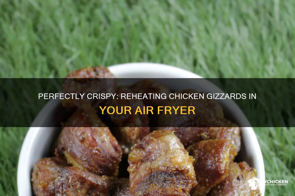 how to reheat chicken gizzards in air fryer