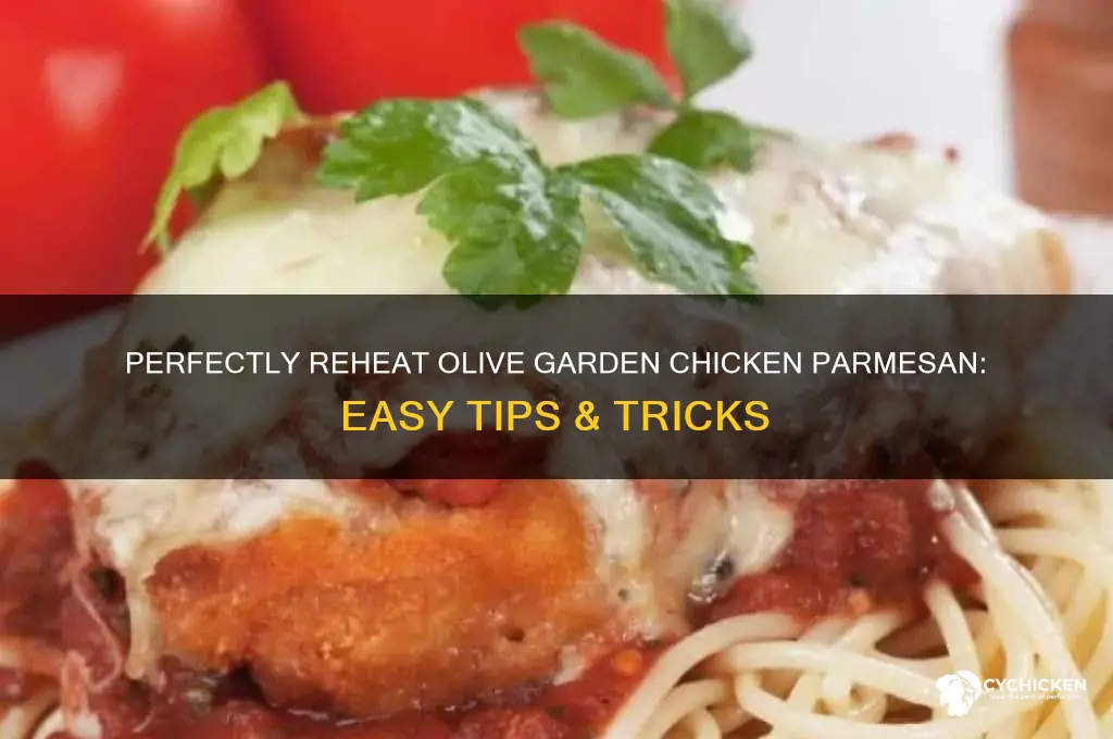 how to reheat olive garden chicken parm