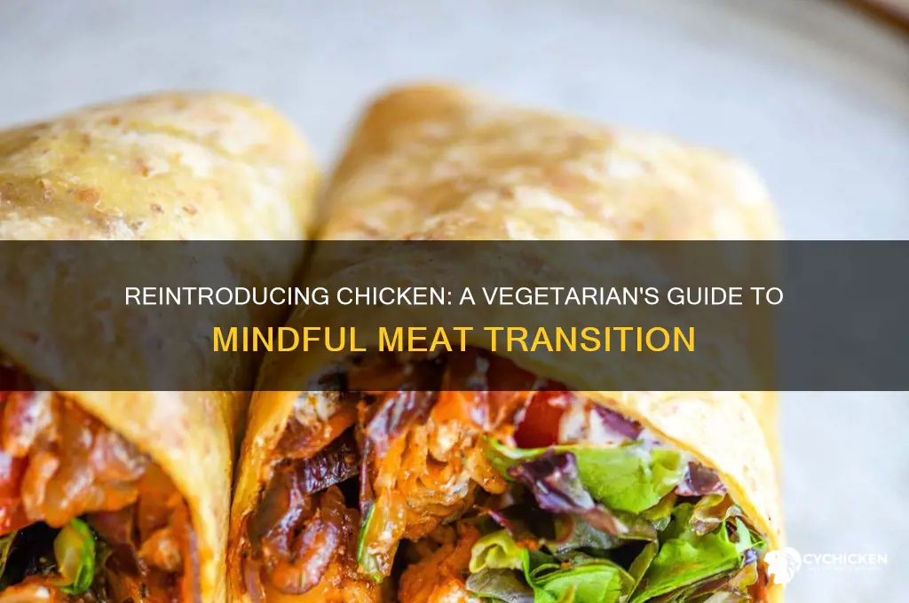 how to reintroduce chicken after being vegetarian