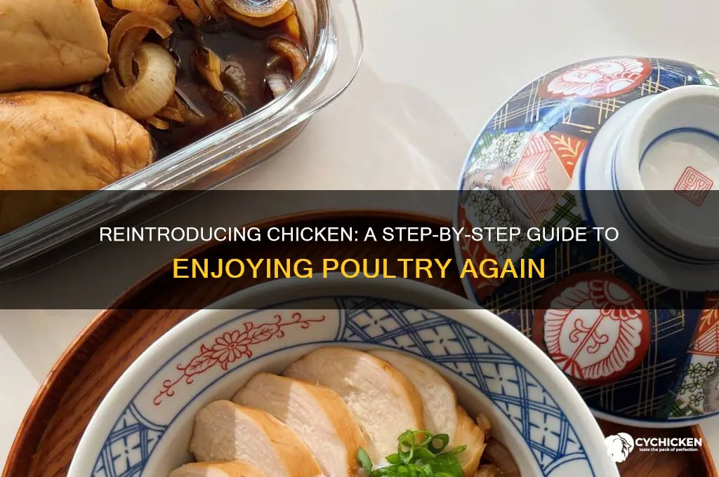 how to reintroduce chicken into your diet