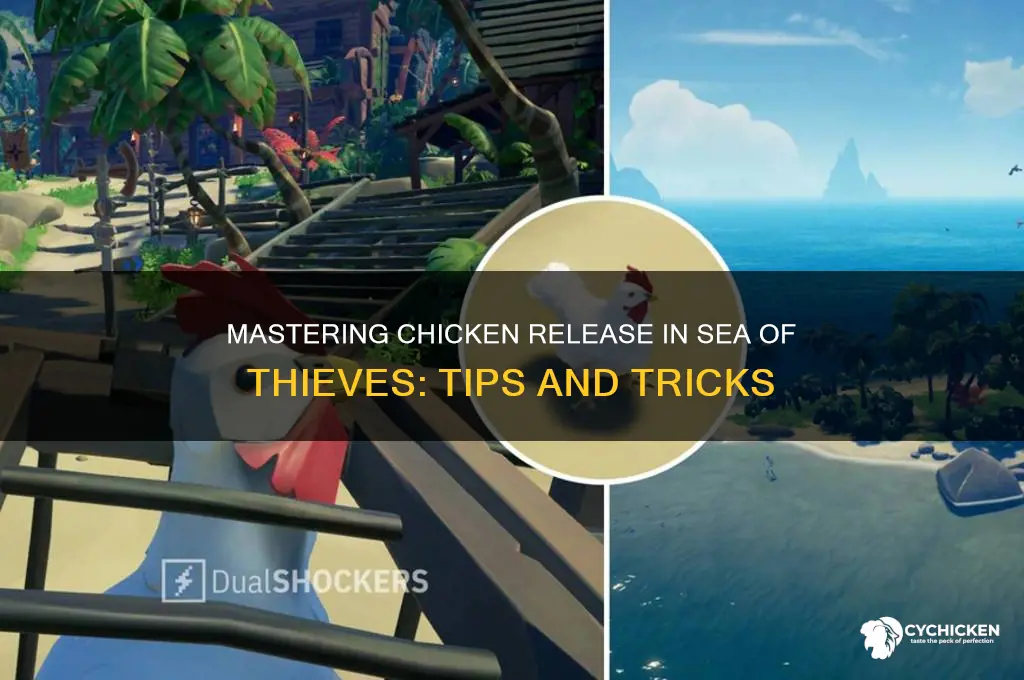 how to release chicken sea of thieves