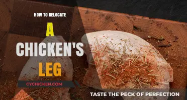 Relocating a Chicken's Leg: A Step-by-Step Guide for Safe Handling