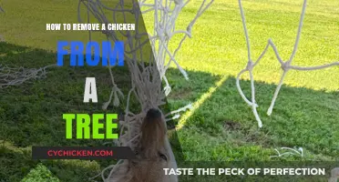 Rescue Your Roosting Chicken: A Step-by-Step Tree Removal Guide
