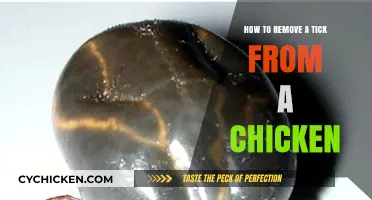 Effective Tick Removal Techniques for Chickens: A Step-by-Step Guide