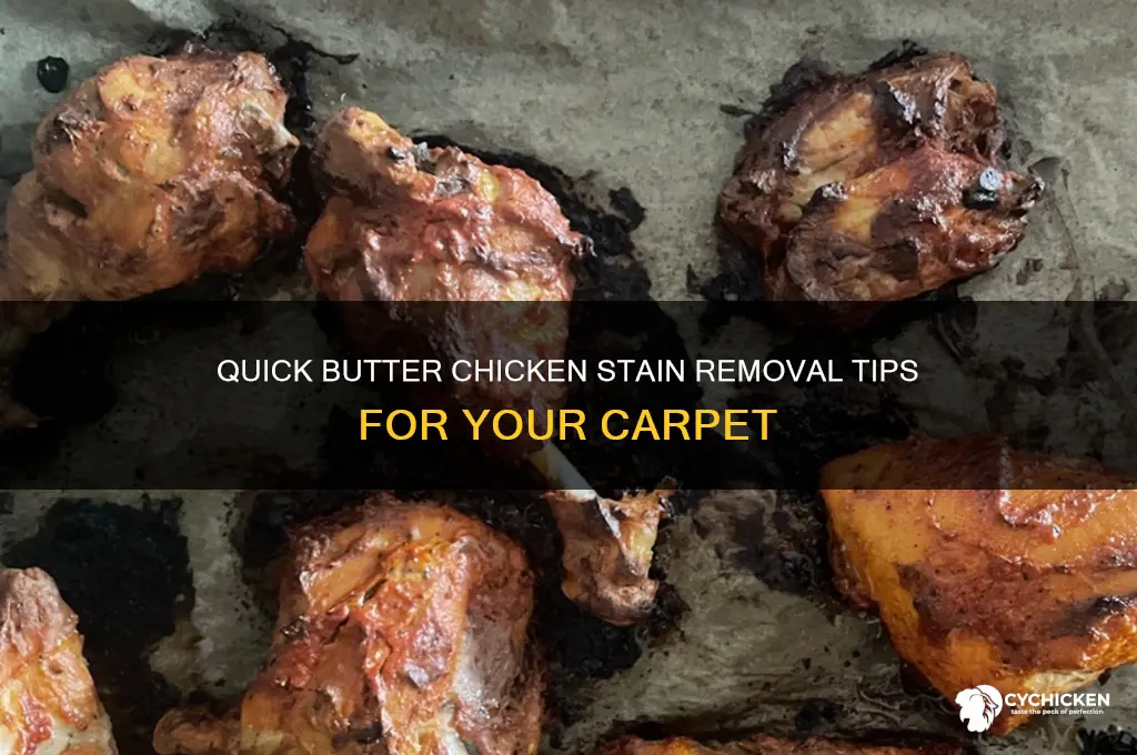 how to remove butter chicken stain from carpet