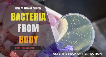 Effective Ways to Eliminate Chicken Bacteria from Your Body Safely