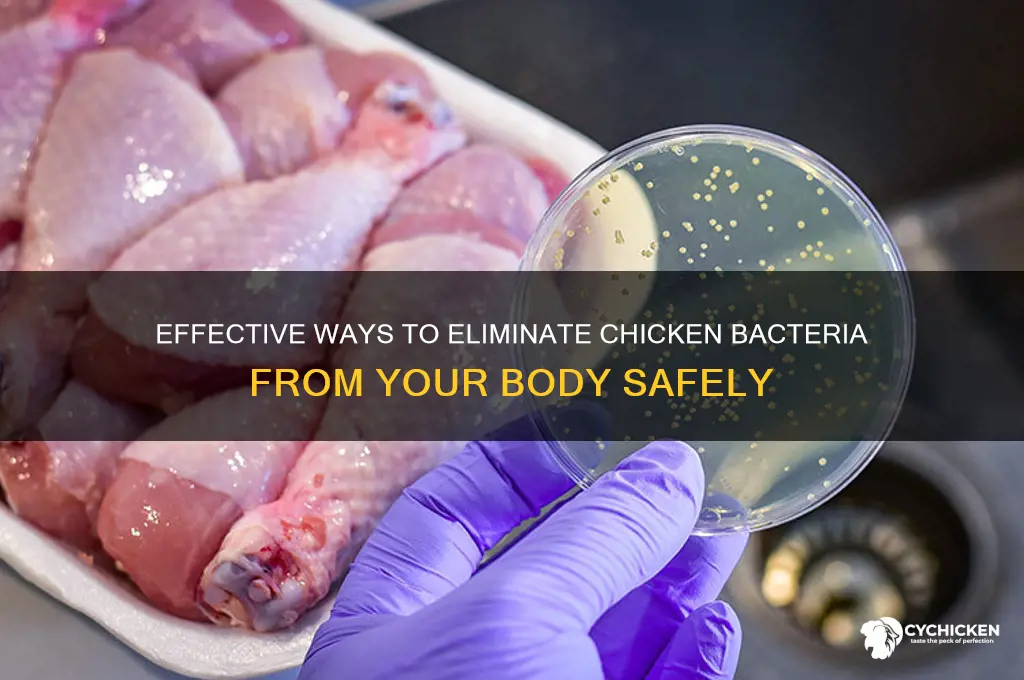 how to remove chicken bacteria from body
