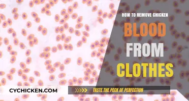 Quick Tips: Removing Chicken Blood Stains from Clothes Easily