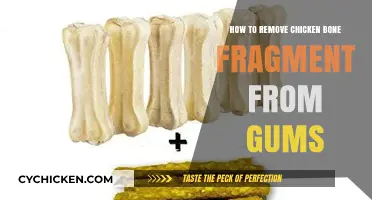 Quick Tips to Safely Remove Chicken Bone Fragments from Gums