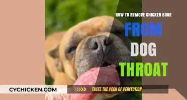 Quick and Safe Steps to Remove Chicken Bone from Dog's Throat