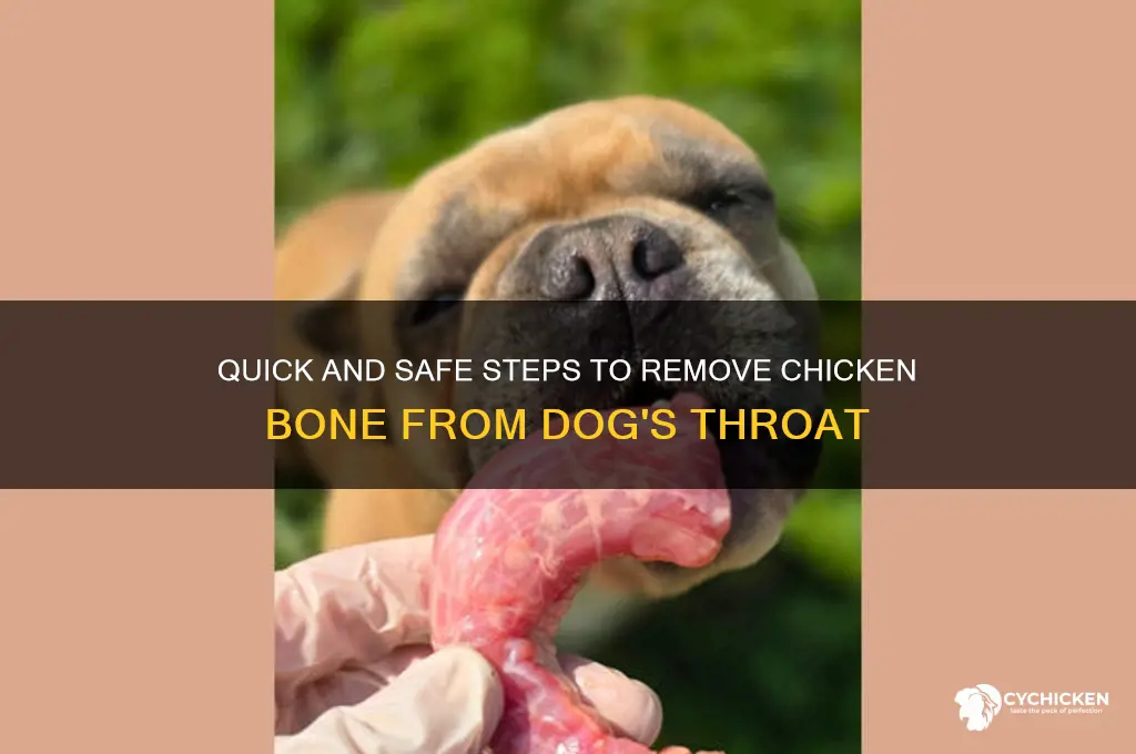 how to remove chicken bone from dog throat