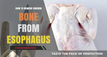 Quick and Safe Methods to Remove Chicken Bone from Esophagus