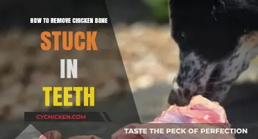 Quick Fix: Removing Chicken Bone Stuck in Teeth Safely and Easily