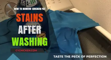 Effective Tips to Remove Chicken Fat Stains Post-Washing