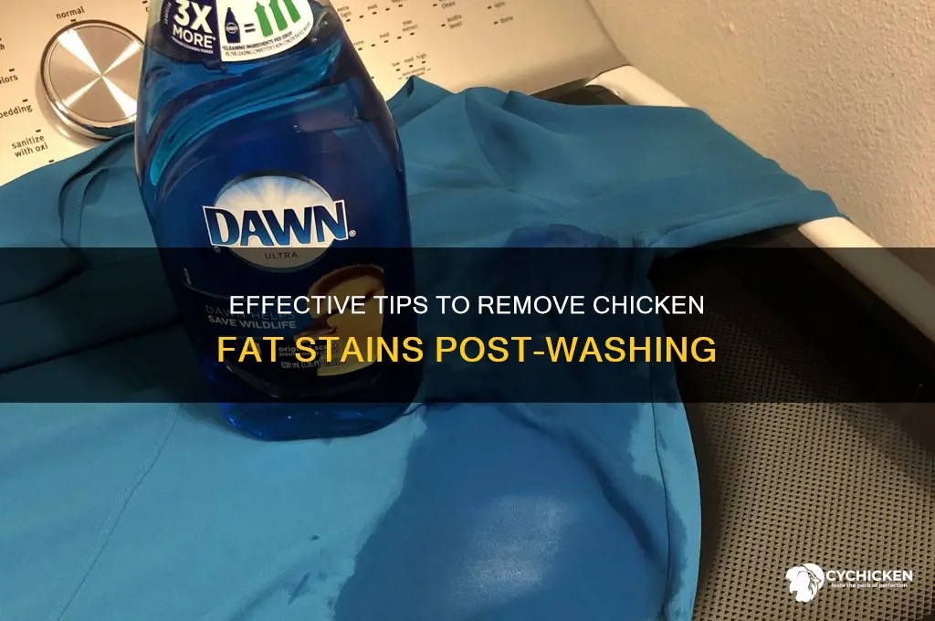 how to remove chicken fat stains after washing
