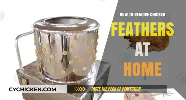 Easy Home Methods for Removing Chicken Feathers Quickly and Cleanly