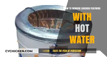 Efficient Feather Removal: Hot Water Technique for Chicken Plucking