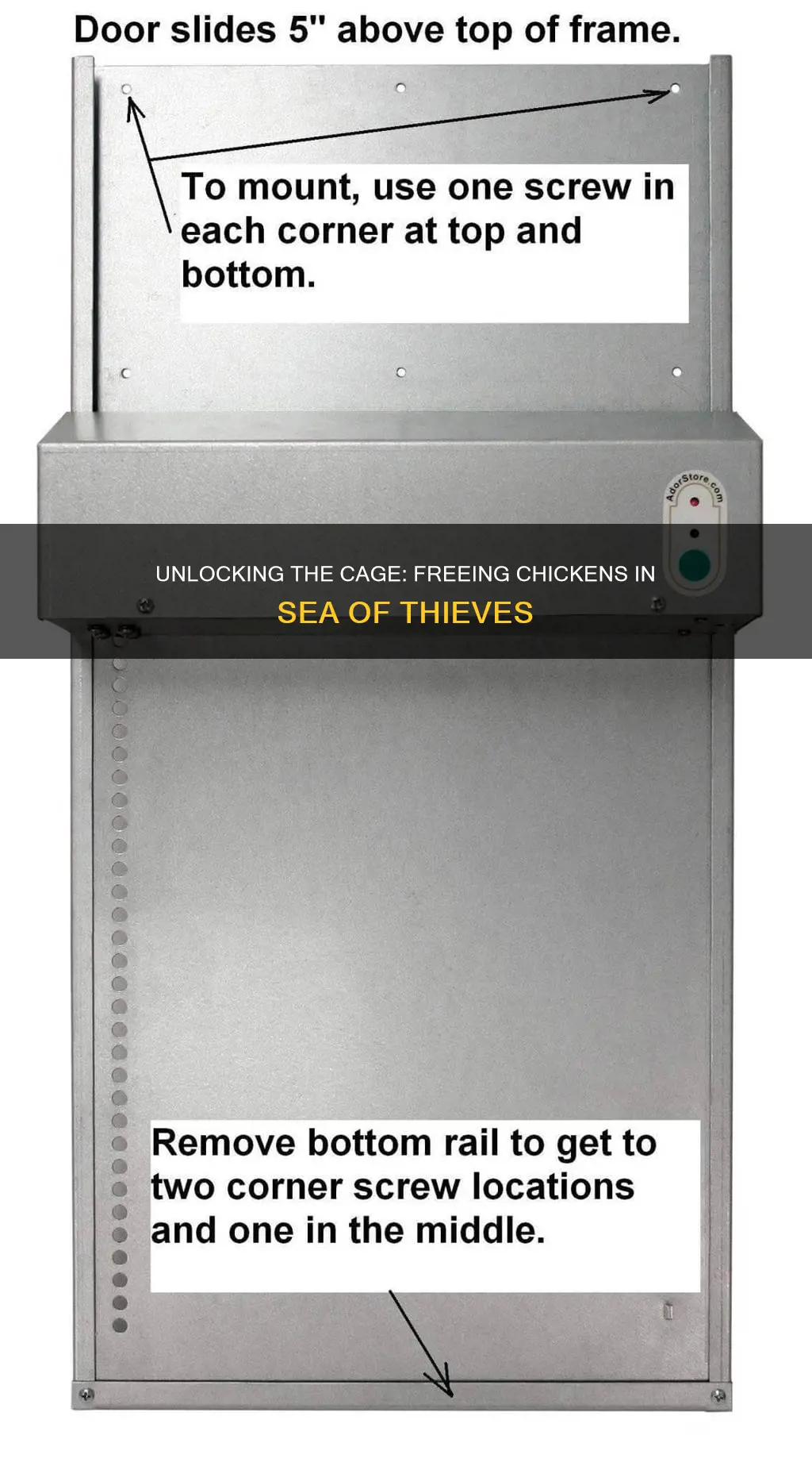 how to remove chicken from cage sea of theives