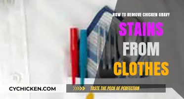 Effective Tips to Remove Chicken Gravy Stains from Clothes Easily