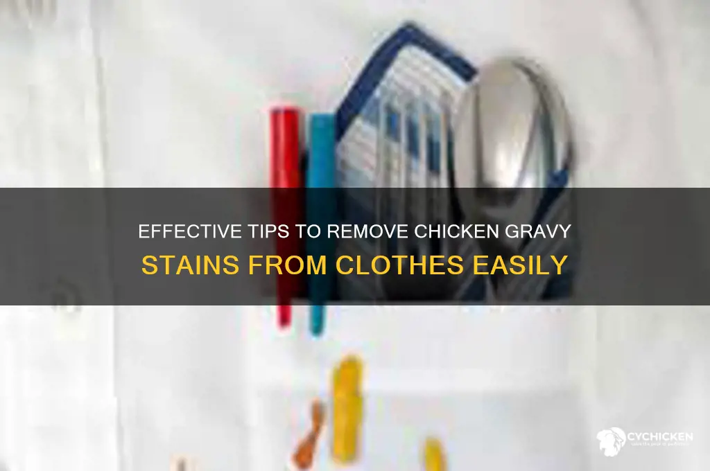 how to remove chicken gravy stains from clothes