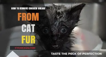 Quick Tips for Removing Chicken Grease from Your Cat's Fur